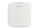 Ruckus R350 Wireless Access Point - (9U1-R350-WW02) (Limited Manufacture Lifetime Warranty) Fashion