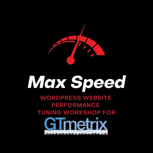 Win-Pro Professional Services - Wordpress Website Performance Tuning Workshop for GTMetrix Online