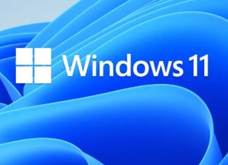 Microsoft Windows 11 Pro 64-bit All Lang Online Download ESD FQC-10572 (Pre-Order Lead Time 1-2 Weeks) Supply